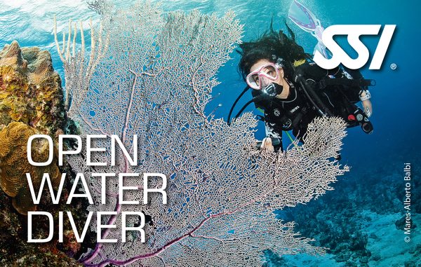 Дайвер за большим морским веером на коралловом рифе — Open Water Diver