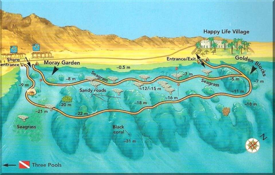 Карта дайв-мест «Голден Блокс» и «Морей Гарден»